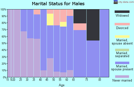 Zip code 04969 marital status for males