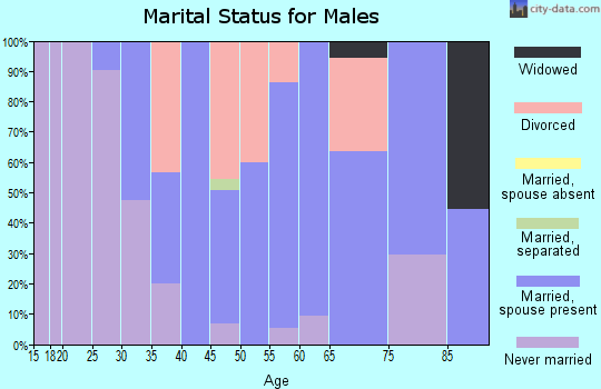 Zip code 04971 marital status for males