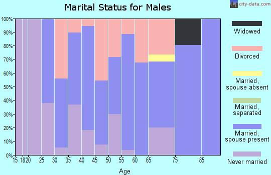 Zip code 04973 marital status for males