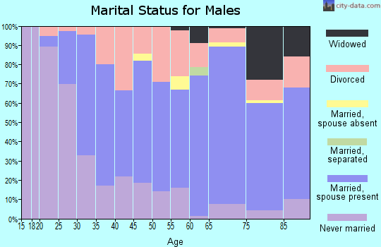 Zip code 04976 marital status for males