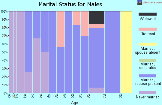 Zip code 04978 marital status for males