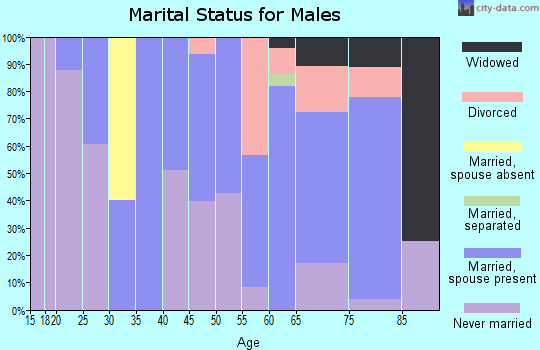 Zip code 04979 marital status for males