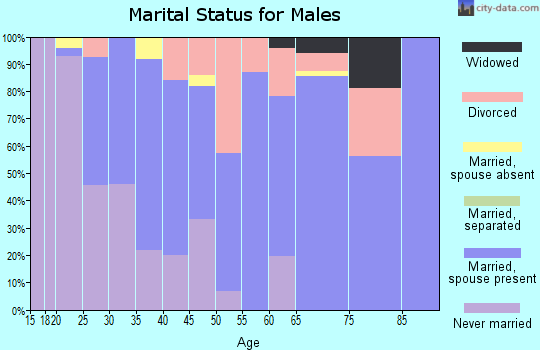 Zip code 04981 marital status for males