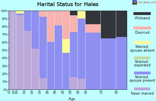 Zip code 04988 marital status for males