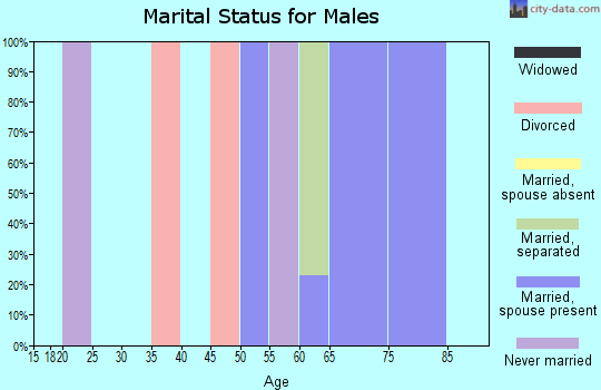 Zip code 05031 marital status for males