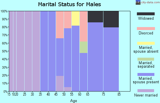 Zip code 05035 marital status for males