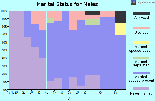 Zip code 05036 marital status for males