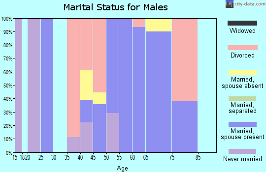 Zip code 05037 marital status for males