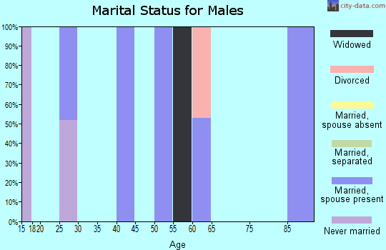 Zip code 05041 marital status for males
