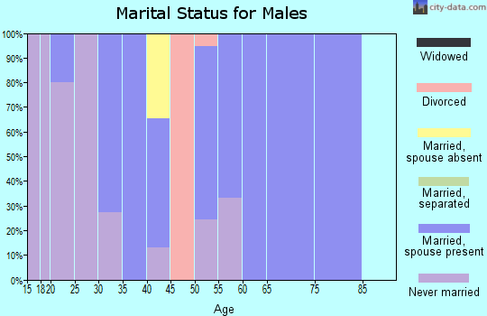 Zip code 05042 marital status for males