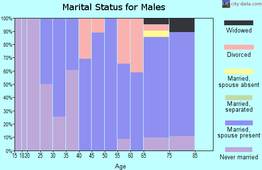 Zip code 05046 marital status for males