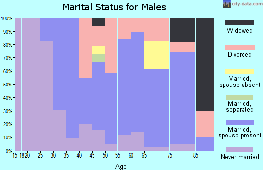 Zip code 05051 marital status for males