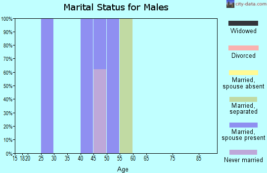 Zip code 05052 marital status for males
