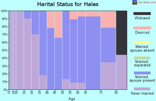 Zip code 05055 marital status for males