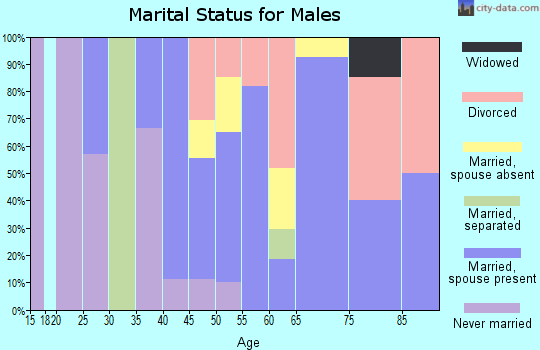 Zip code 05056 marital status for males