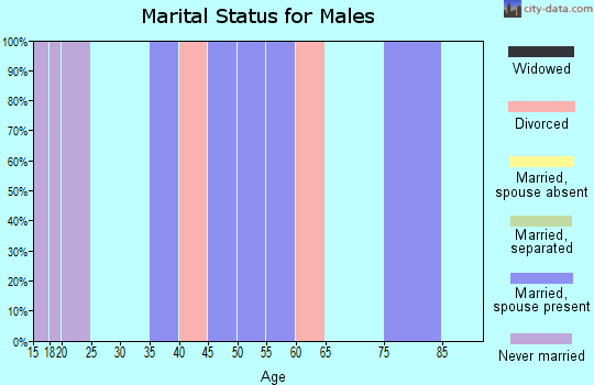 Zip code 05059 marital status for males