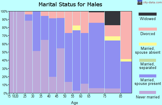 Zip code 05060 marital status for males