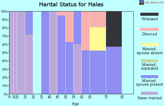 Zip code 05061 marital status for males