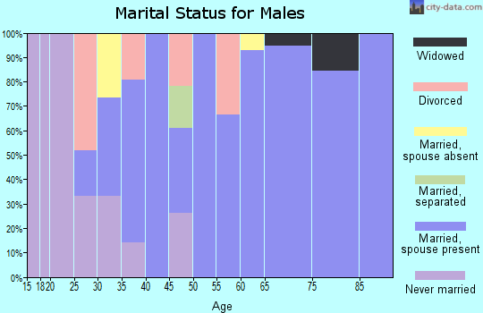 Zip code 05062 marital status for males