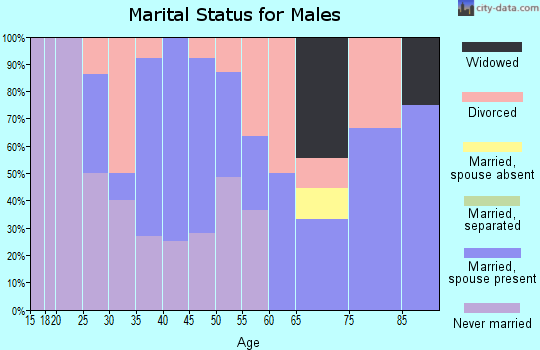 Zip code 05081 marital status for males