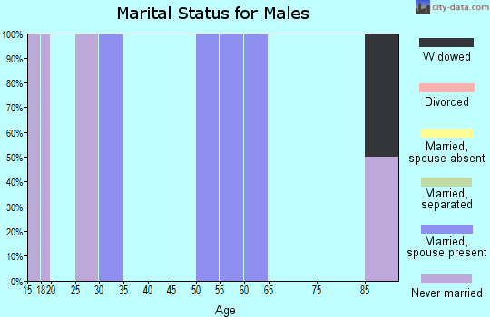 Zip code 05083 marital status for males