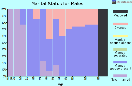 Zip code 05086 marital status for males