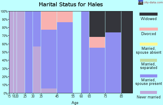 Zip code 05088 marital status for males