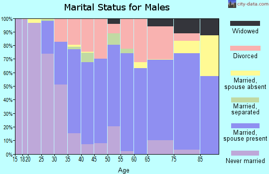 Zip code 05089 marital status for males