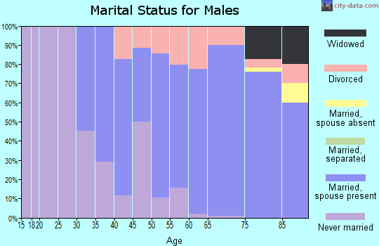 Zip code 05091 marital status for males