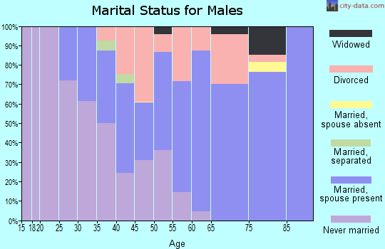 Zip code 05101 marital status for males