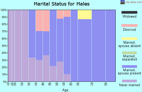 Zip code 05142 marital status for males