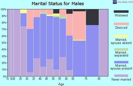Zip code 05143 marital status for males