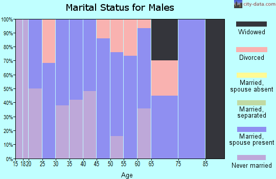 Zip code 05148 marital status for males