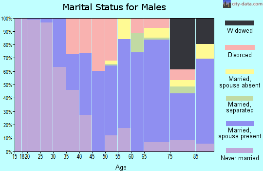 Zip code 05149 marital status for males