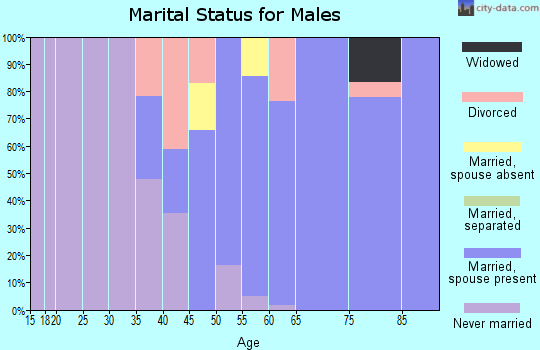Zip code 05151 marital status for males