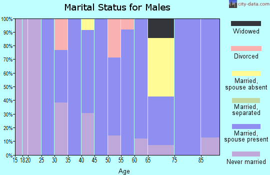 Zip code 05152 marital status for males