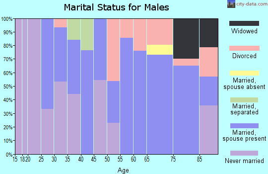 Zip code 05153 marital status for males