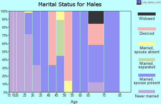 Zip code 05154 marital status for males