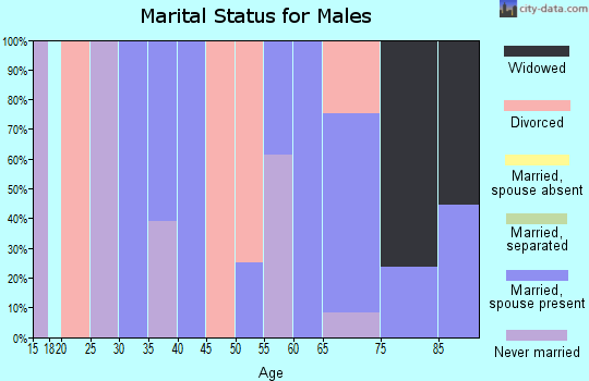 Zip code 05155 marital status for males