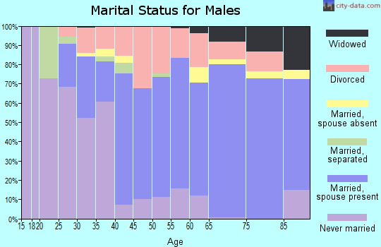 Zip code 05156 marital status for males