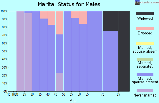 Zip code 05158 marital status for males