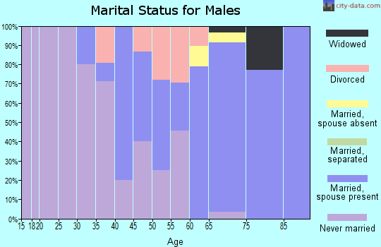 Zip code 05161 marital status for males