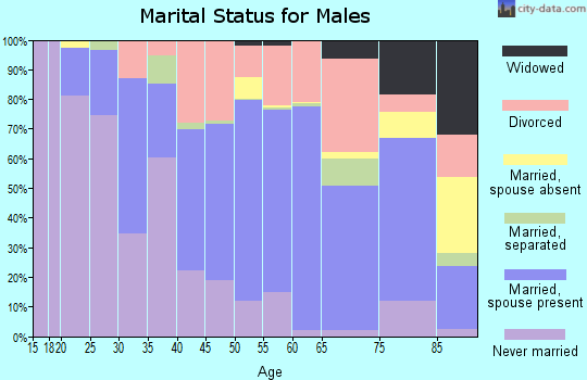 Zip code 05201 marital status for males