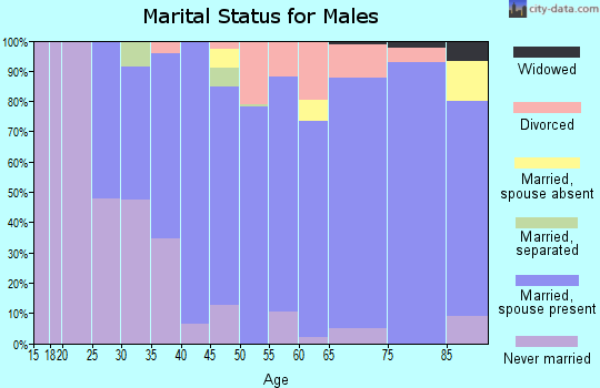 Zip code 05250 marital status for males