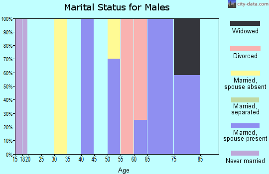 Zip code 05254 marital status for males
