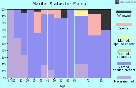 Zip code 05255 marital status for males