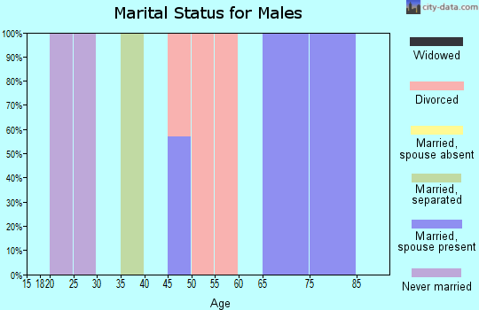 Zip code 05260 marital status for males