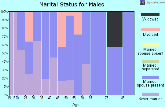 Zip code 05261 marital status for males