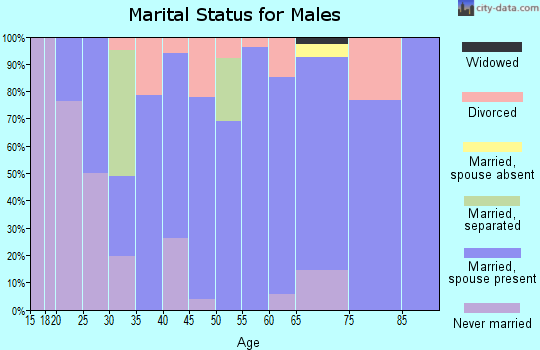 Zip code 05262 marital status for males