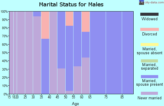 Zip code 05342 marital status for males